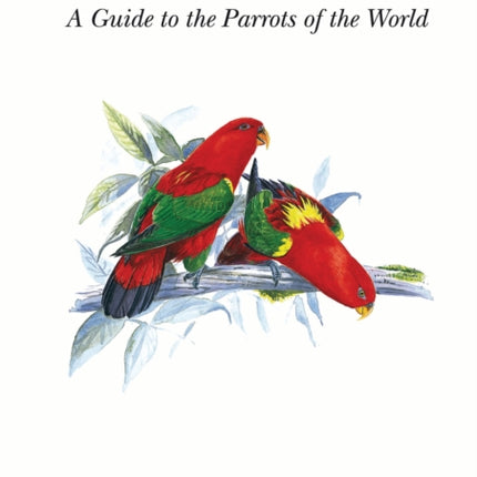 Parrots