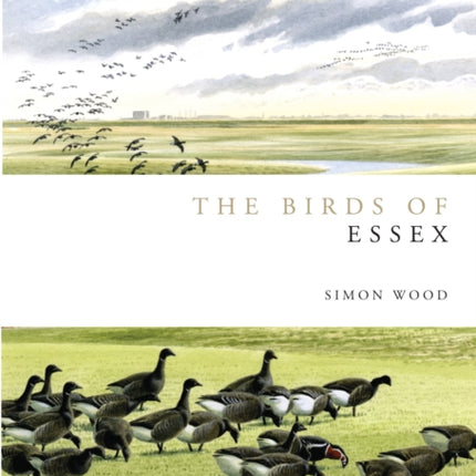 Birds of Essex Helm County Avifauna