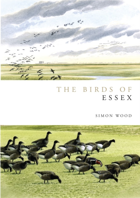 Birds of Essex Helm County Avifauna
