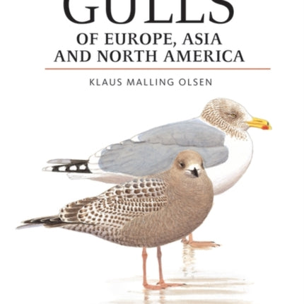 Gulls of Europe, Asia and North America