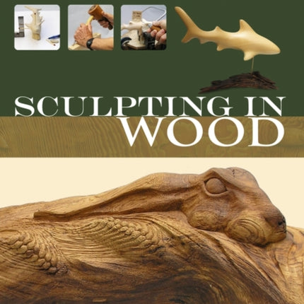 sculptinginwood