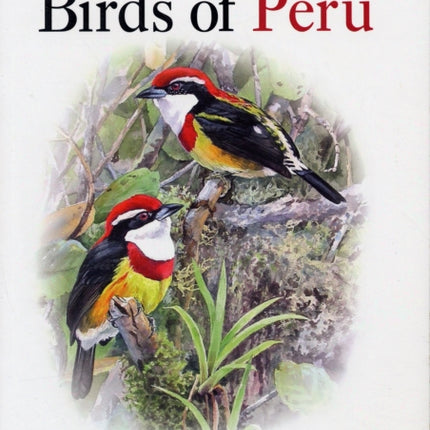 Birds of Peru