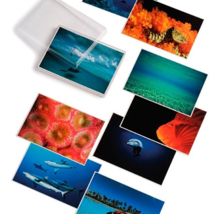 David Doubilet; Water Light Time Postcards