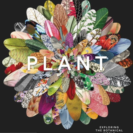 Plant: Exploring the Botanical World