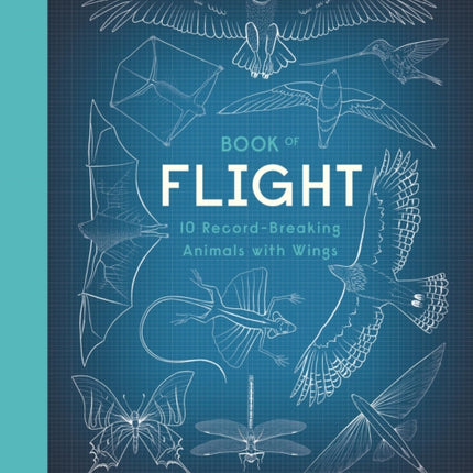 Book of Flight: 10 Record-Breaking Animals with Wings