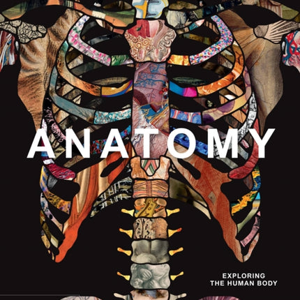 Anatomy: Exploring the Human Body