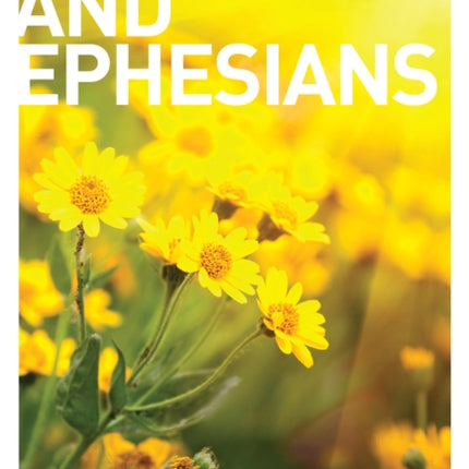 The Letters to the Galatians  Ephesians The Letters to the Galatians and Ephesians