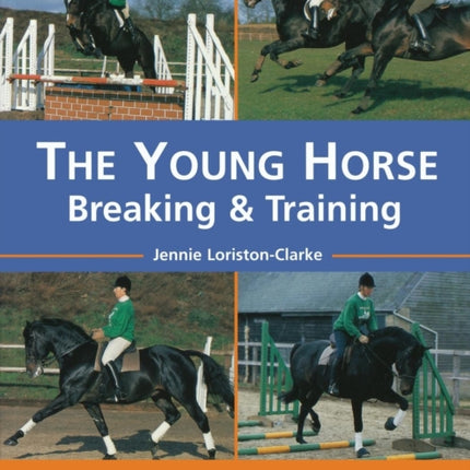 The Young Horse
