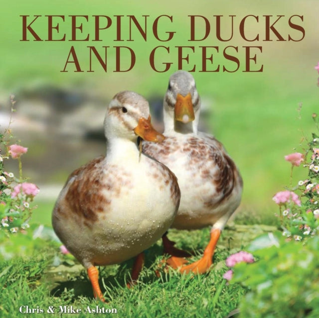 Keeping Ducks and Geese