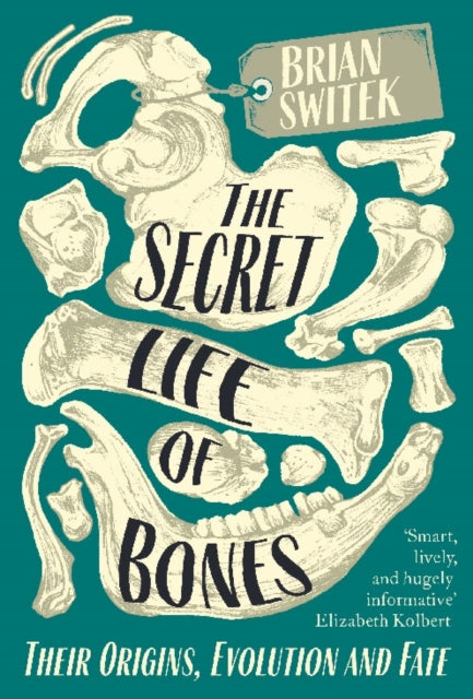 The Secret Life of Bones: Their Origins, Evolution and Fate