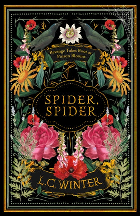 Spider Spider