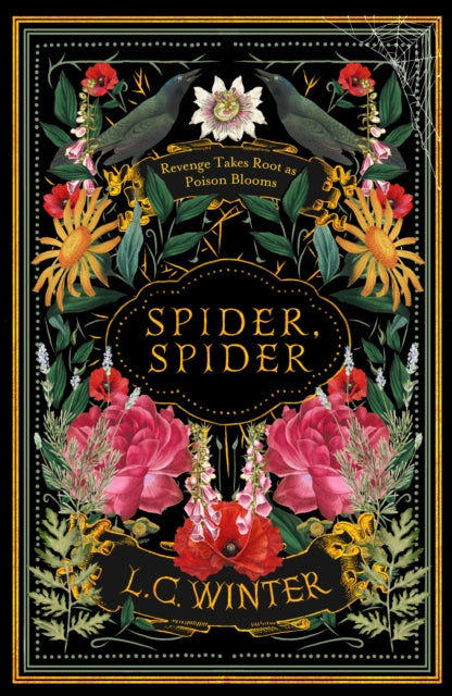 Spider Spider