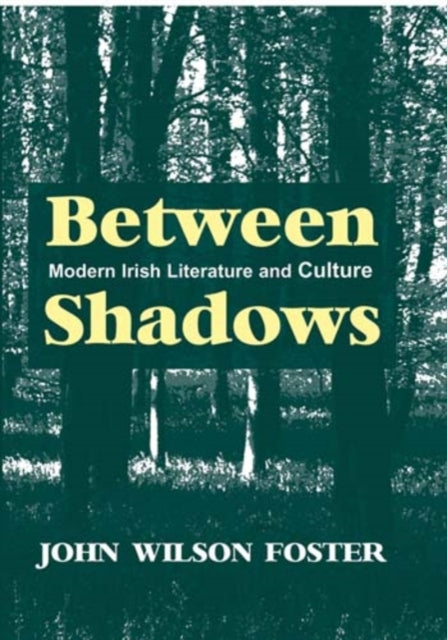 Between Shadows: Modern Irish Writing and Culture