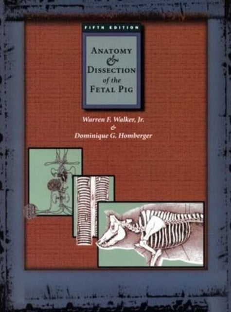 Anatomy and Dissection of the Fetal Pig