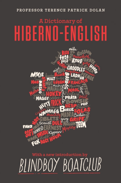 A Dictionary of Hiberno English