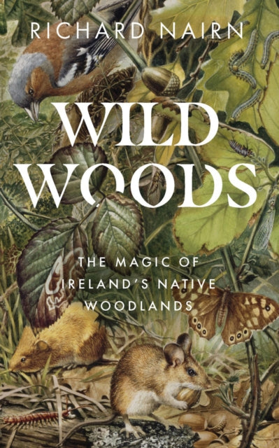 Wildwoods: The Magic of Ireland’s Native Woodlands