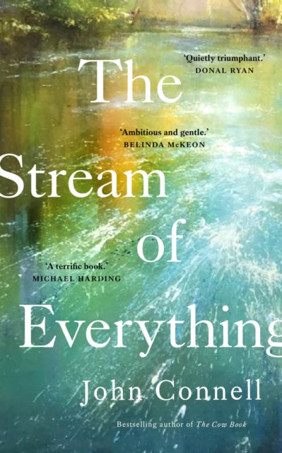 The Stream of Everything