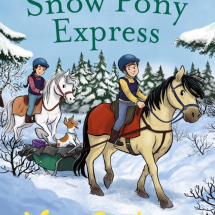 Rowan Tree Stables 3  Snow Pony Express