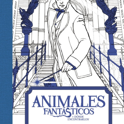 Animales Fantásticos Y Dónde Encontrarlos: Un Libro de 20 Postales Para Colorear