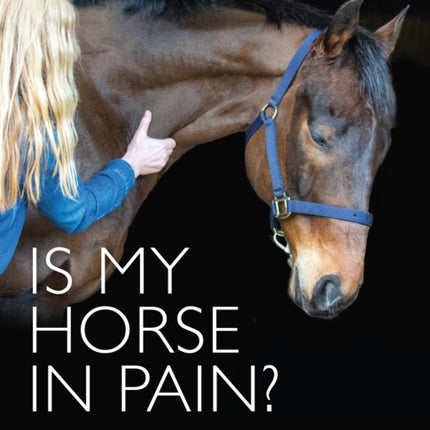 Is My Horse in Pain