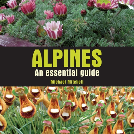 Alpines: An essential guide