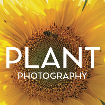 Plant Photography