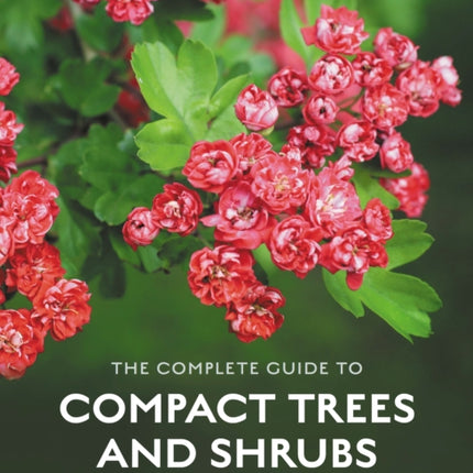 The Complete Guide to Compact Trees and Shrubs