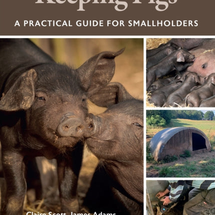 Keeping Pigs: A Practical Guide for Smallholders