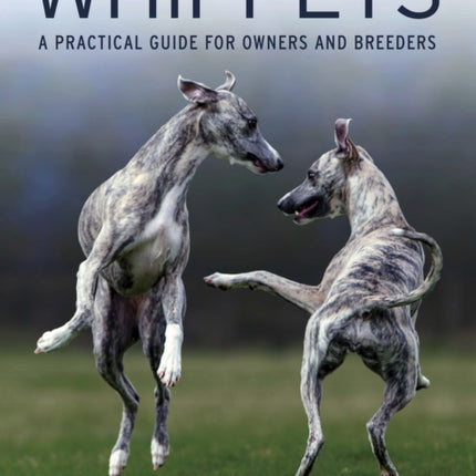 Whippets: A Practical Guide for Owners and Breeders