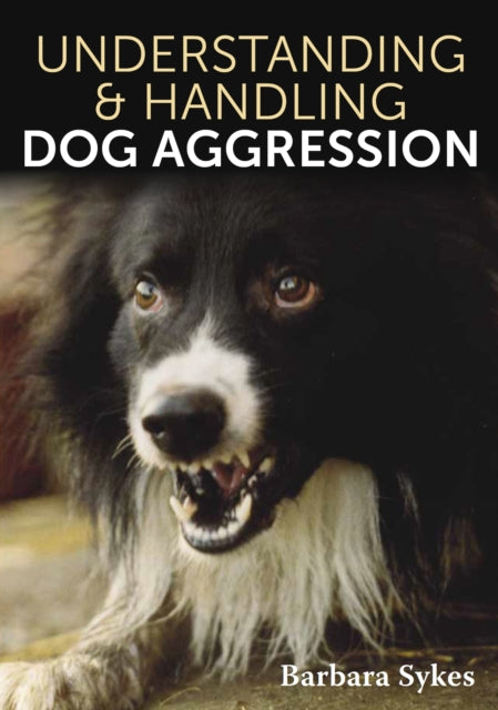 Understanding  Handling Dog Aggression