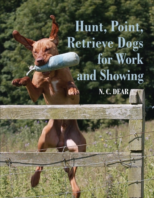 HuntPointRetrieve Dogs for Work and Showing