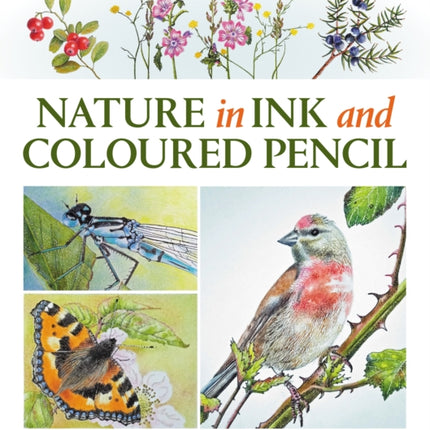 Nature in Ink and Coloured Pencil