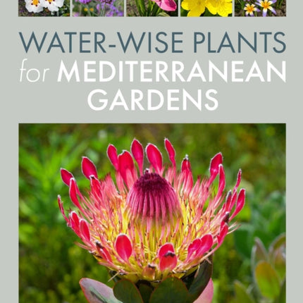WaterWise Plants for Mediterranean Gardens