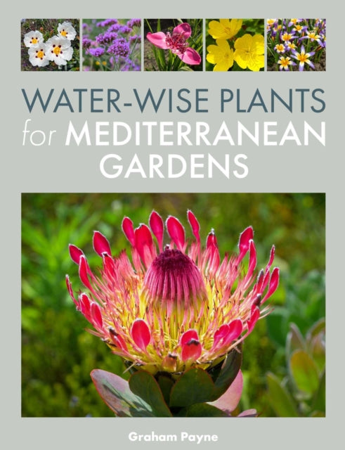 WaterWise Plants for Mediterranean Gardens