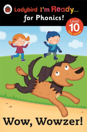 Wow Wowzer Ladybird Im Ready for Phonics Level 10