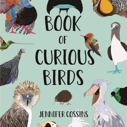 Book of Curious Birds