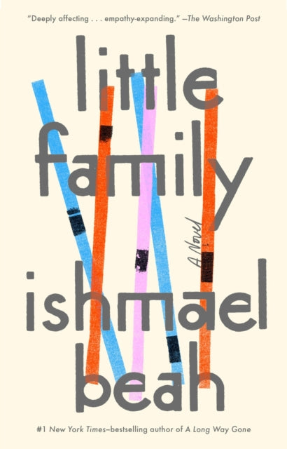 Little Family: A Novel