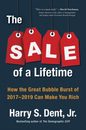 The Sale Of A Lifetime: How the Great Bubble Burst of 2017-2019 Can Make You Rich