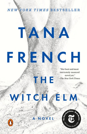 The Witch ELM A Novel