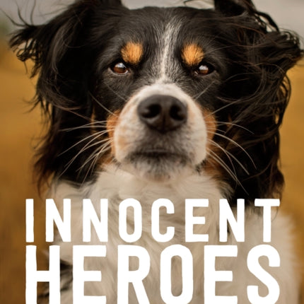 Innocent Heroes: Stories of animals in the First World War