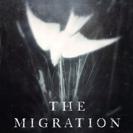 The Migration