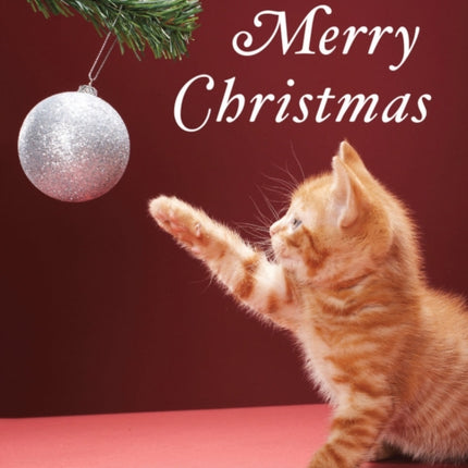 Christmas Kitty Boxed Holiday Full Notecards