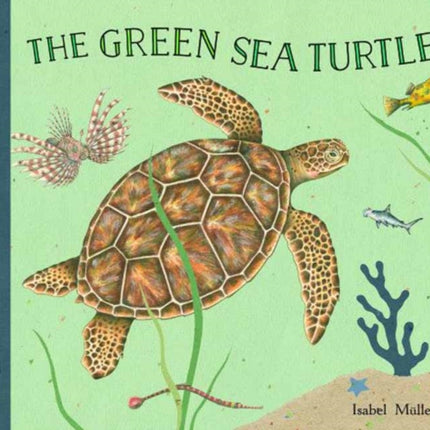 The Green Sea Turtle