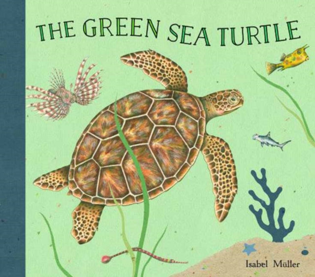 The Green Sea Turtle