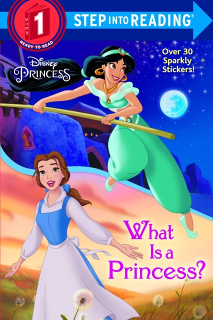 What Is a Princess? (Disney Princess)