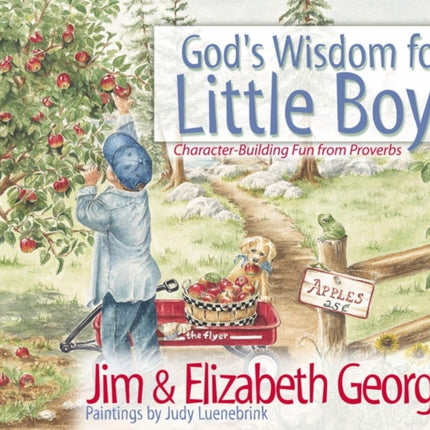 God's Wisdom for Little Boys: Character-Building Fun from Proverbs