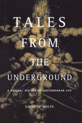 talesfromtheundergrounda01