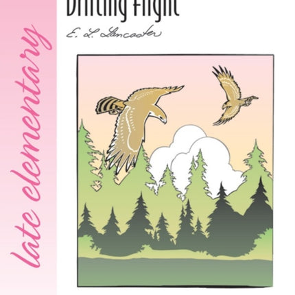 Drifting Flight Sheet