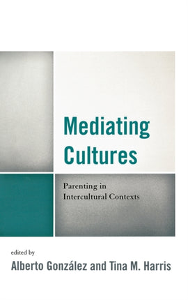 Mediating Cultures