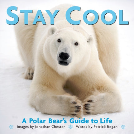 Stay Cool: A Polar Bear's Guide to Life